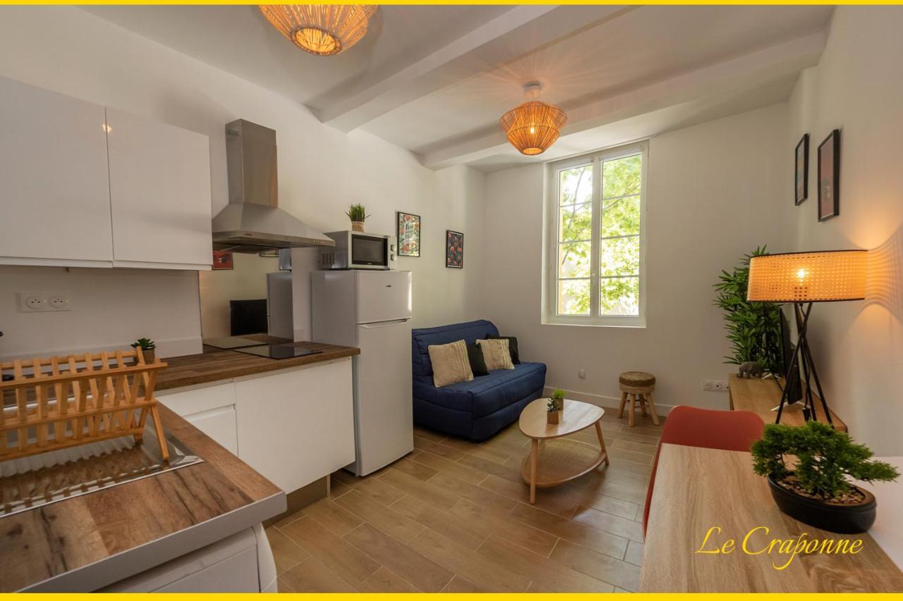 Le Craponne - Magnifique Appartement Cours Principal Plein Centre Avec Parking Salon-de-Provence Exteriér fotografie